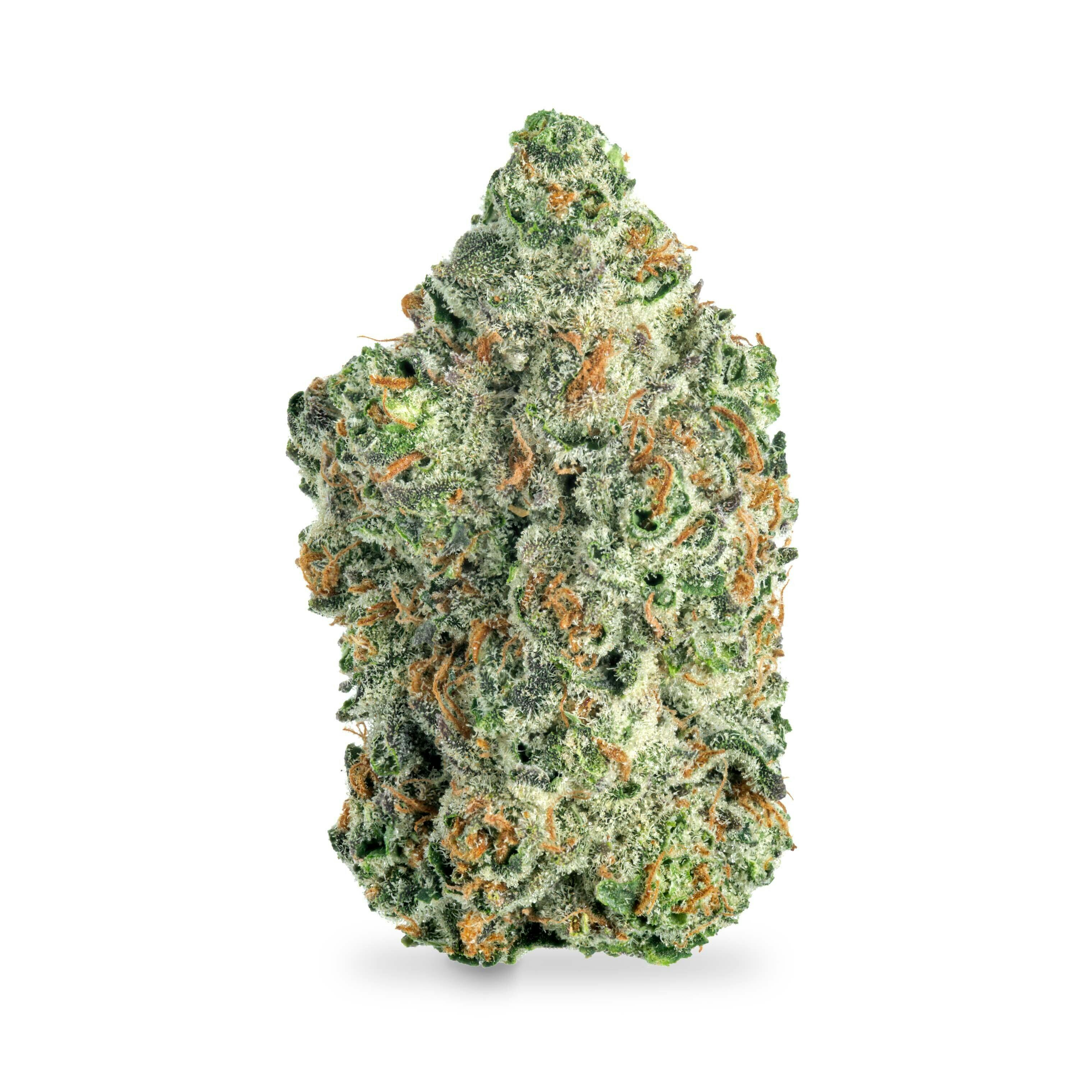 Candy Apple (GH)