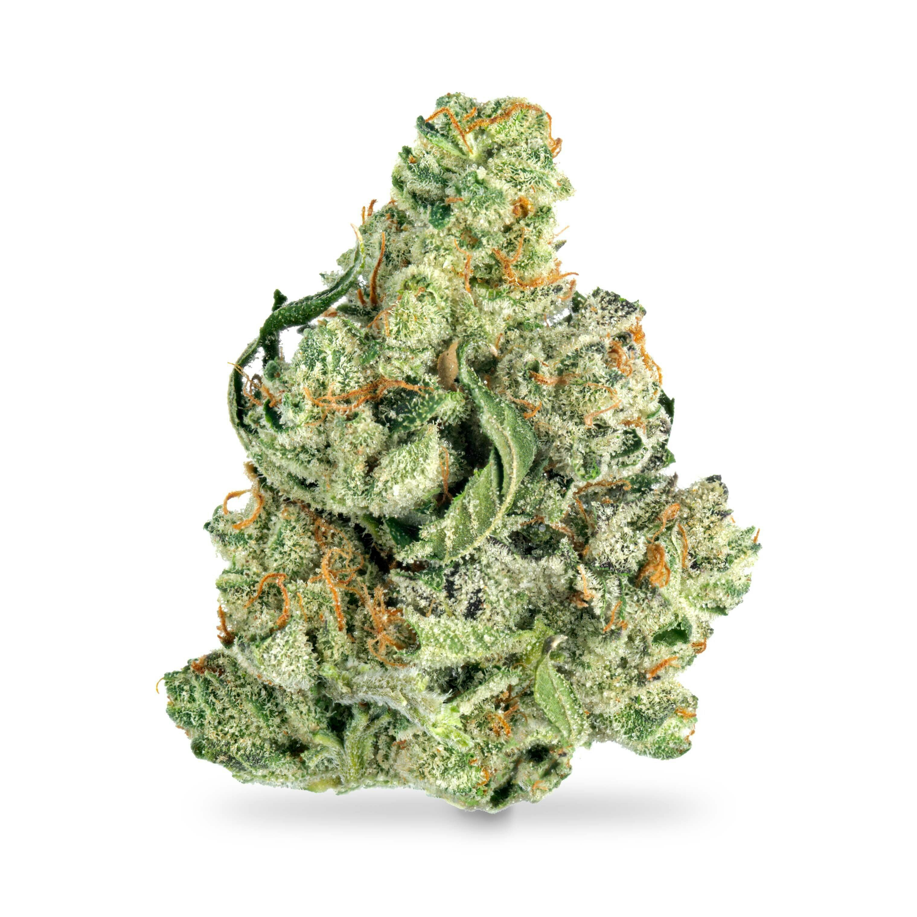Lava Cake ($70 Special, No Discounts)