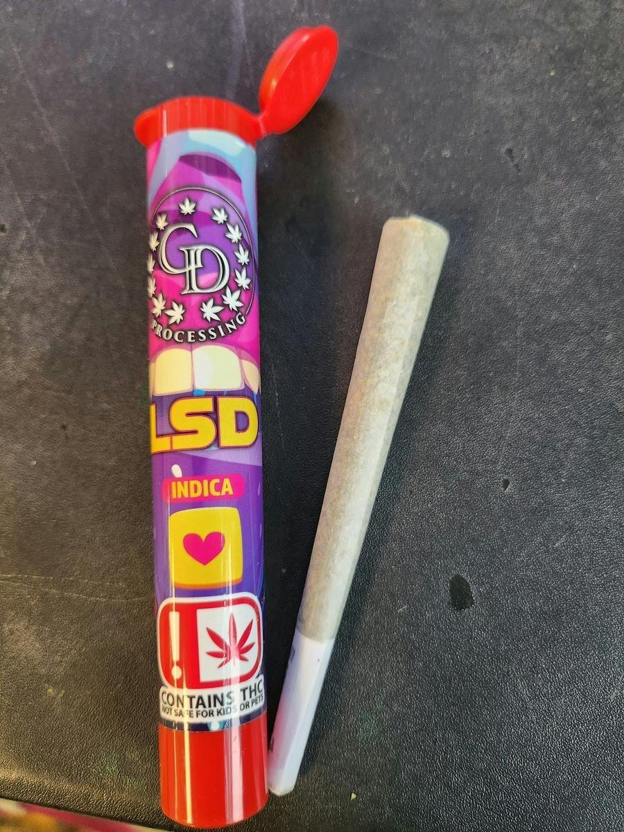 Garcia Lsd