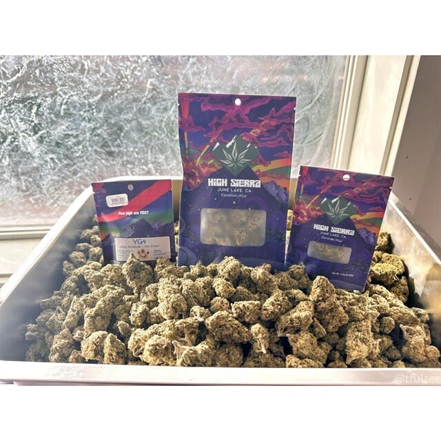 HIGH SIERRA: YG4 - 14G FLOWER