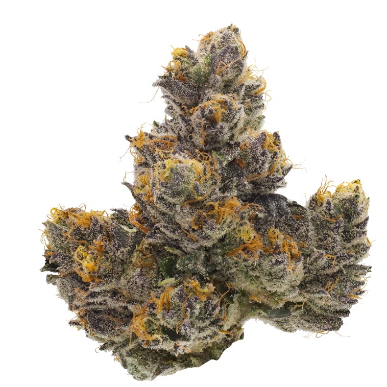 INDICA: INDICA DOMINANT