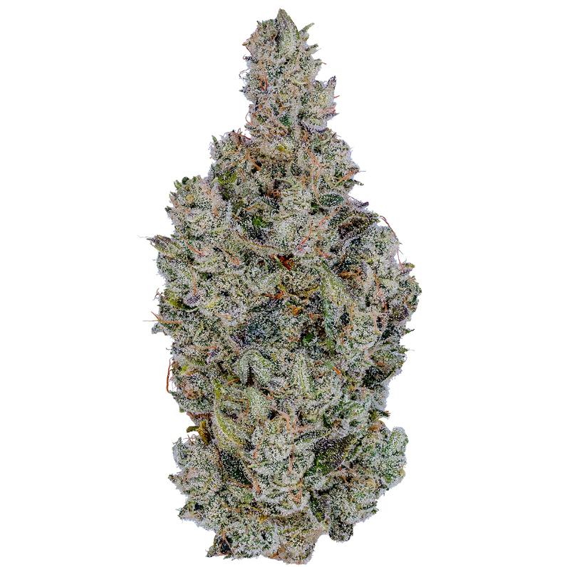 SATIVA DOMINANT