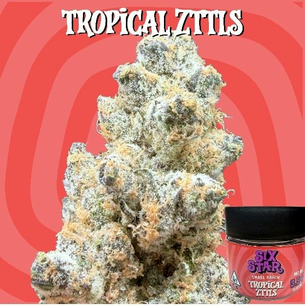 6 Star: Tropical Zttls