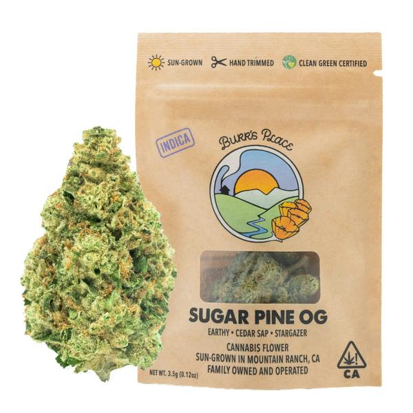 Burr's Place: Pine OG