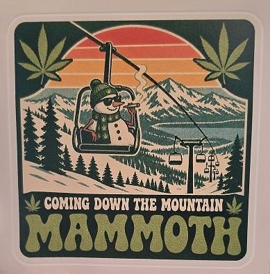 STICKER | GOING DOWN THE MOUNTAIN - One Size
