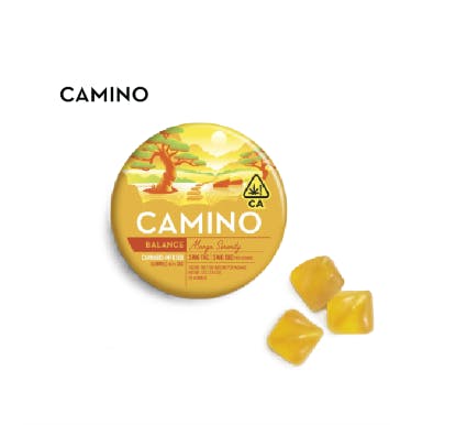 CAMINO: Mango Serenity