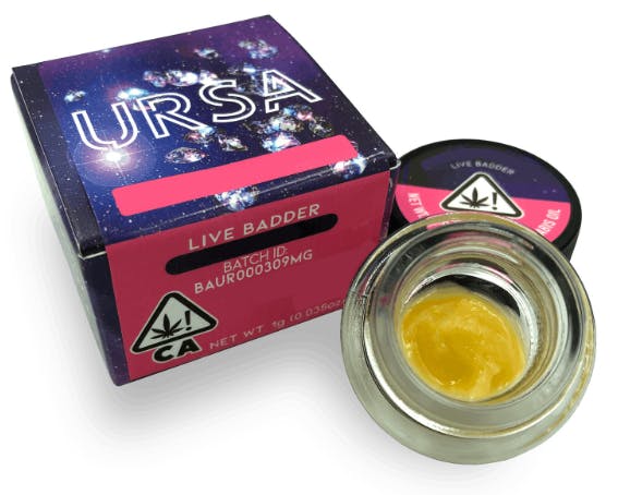 URSA: Sour Peaches Live