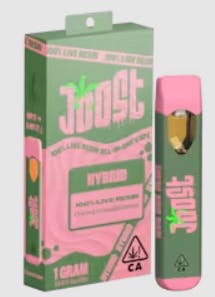 JOOST GARLIC MINTS 1G LIVE RESIN ALL IN ONE