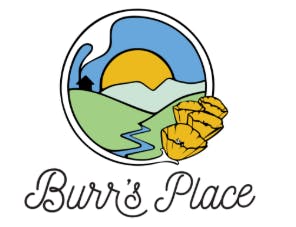 BURR'S PLACE ORGANICS BLUEBERRY BISCOTTI 14G PREGROUND