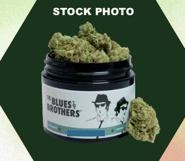 Grape Gas- 3.5g || The Blue Brothers