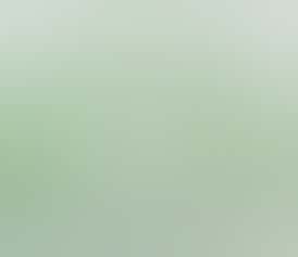 Non-Stick Silicone Mat