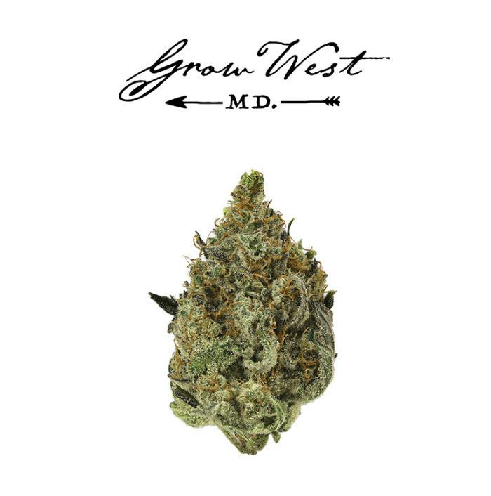 Neapolitan Space Cream-3.5g || Grow West at Positive Energy Dispensary - Ocean City