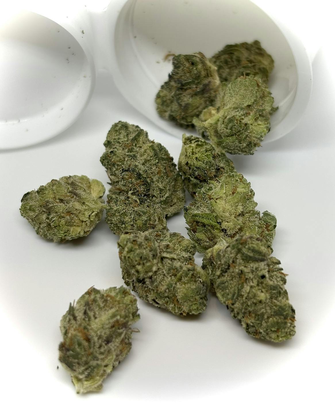 Tokyo Sunset x Z$BF [Small Buds]-2g] || Fade Co. at Positive Energy Dispensary - Ocean City