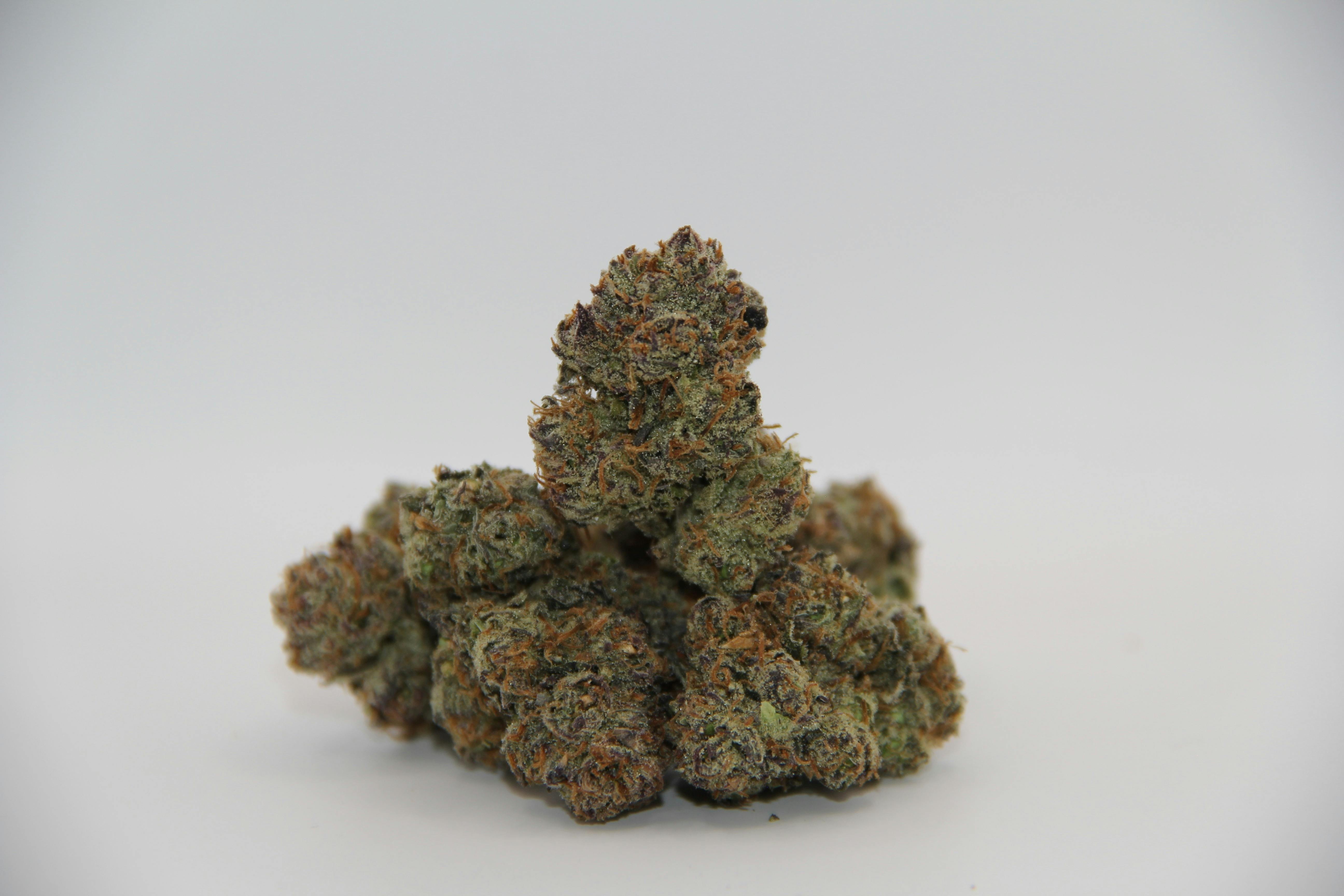 CALI BUDS | LEMON CHERRY GELATO | FLOWER | 14G