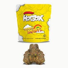 HOTBOX | RAINBOW RUNTZ | SMALLS FLOWER | 3.5G