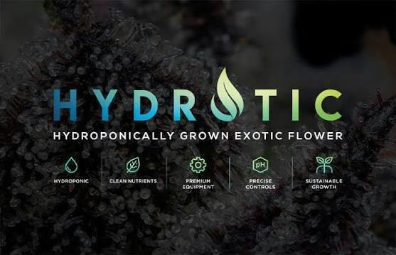 Hydrotic: Gas Money