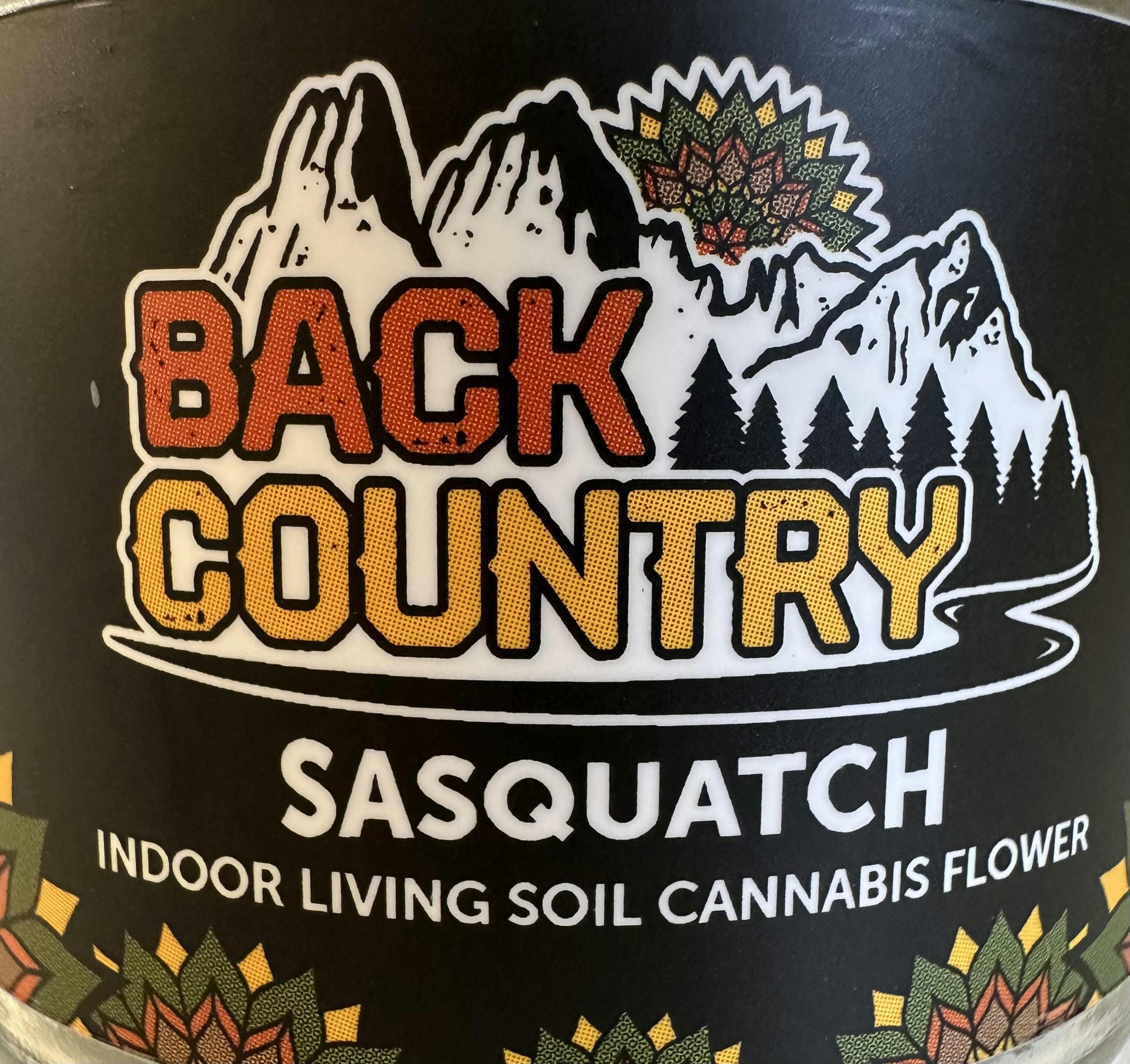 Sasquatch Indoor