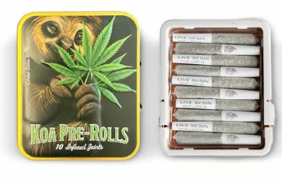 Runtz: X Gelato 10