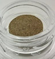 *SALE* Governmint Oasis: Governmint Oasis