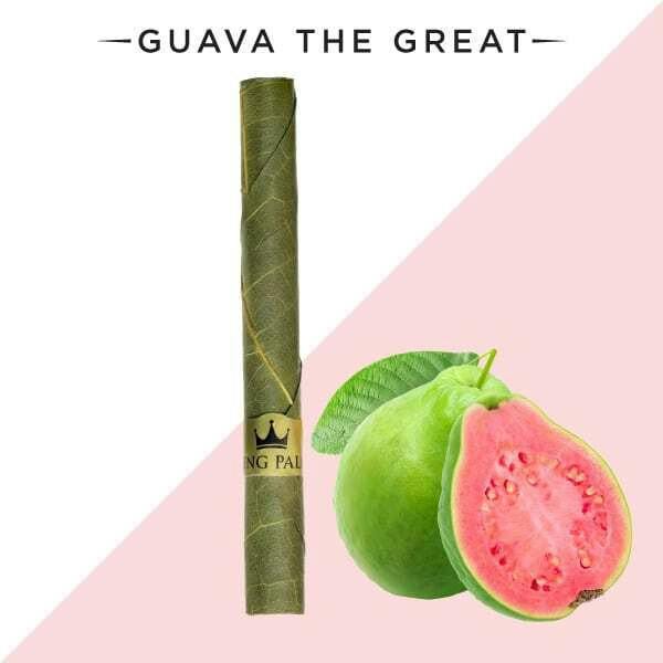 King Palm Single Guava