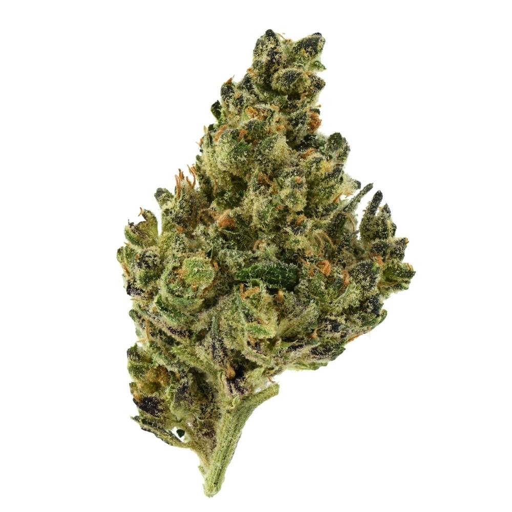 SSL Flower | Peanut Butter Diesel at Desert Bloom Re-Leaf Center
