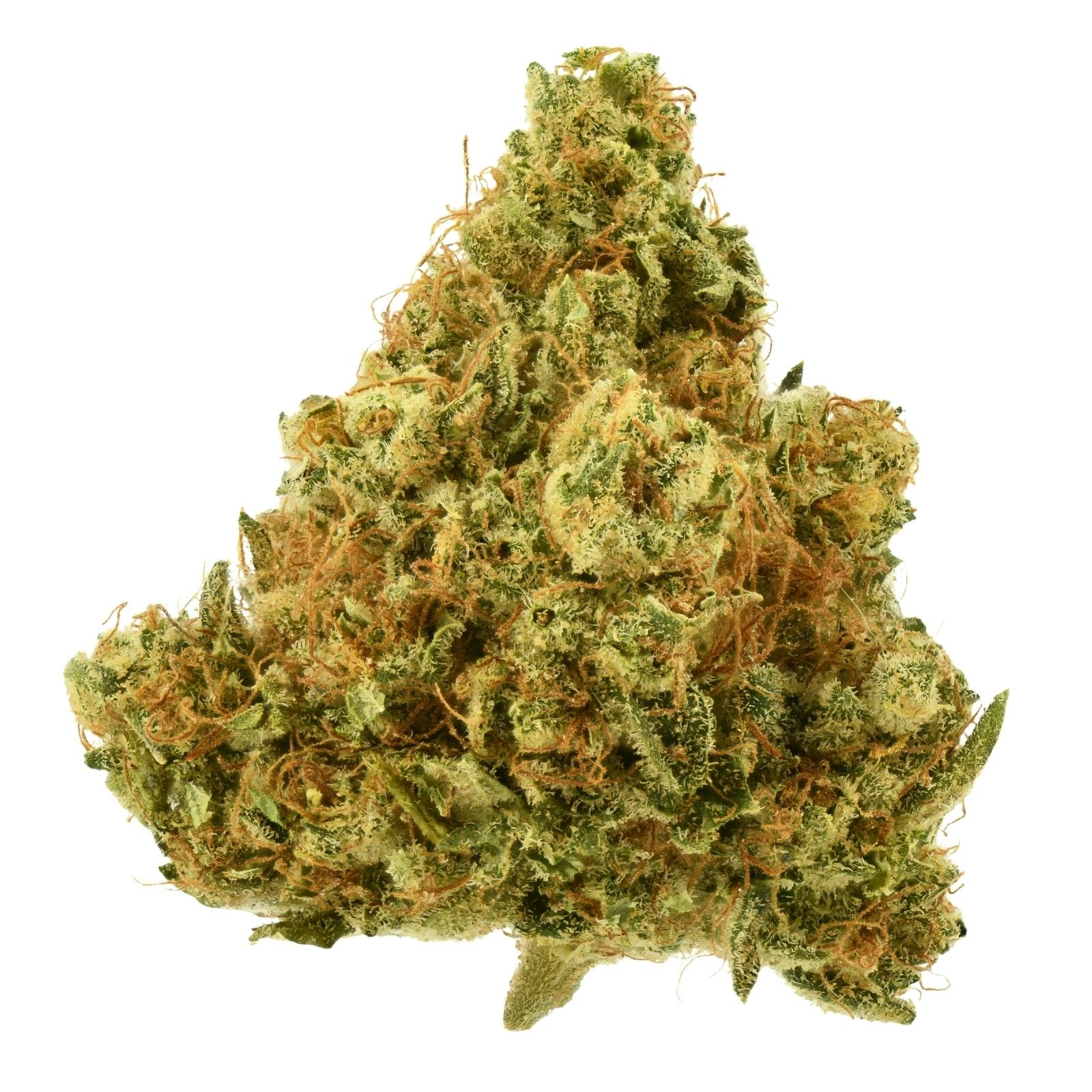 Lost Dutchmen | Orange Cookie Chem