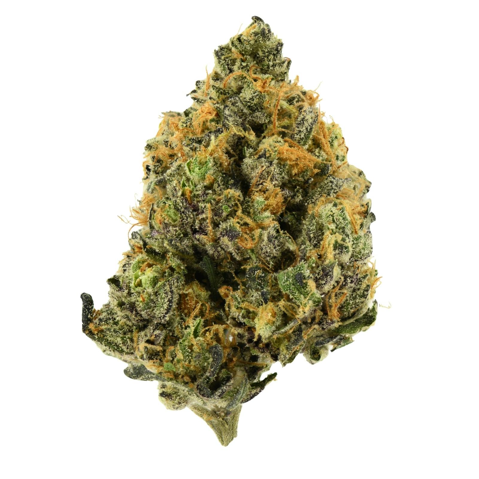 Releaf Flower | La Vida Gruntz at Releaf 85624