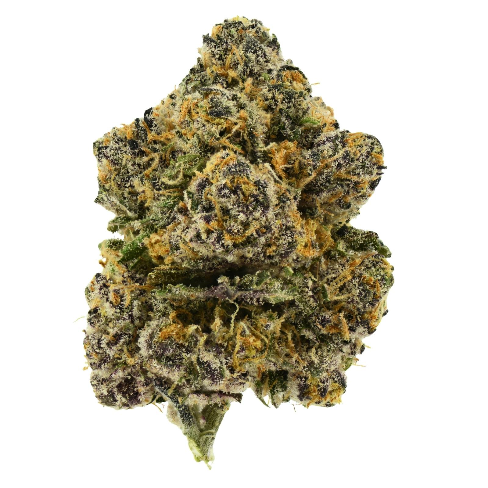 PJP Flower | Lemon Loaf