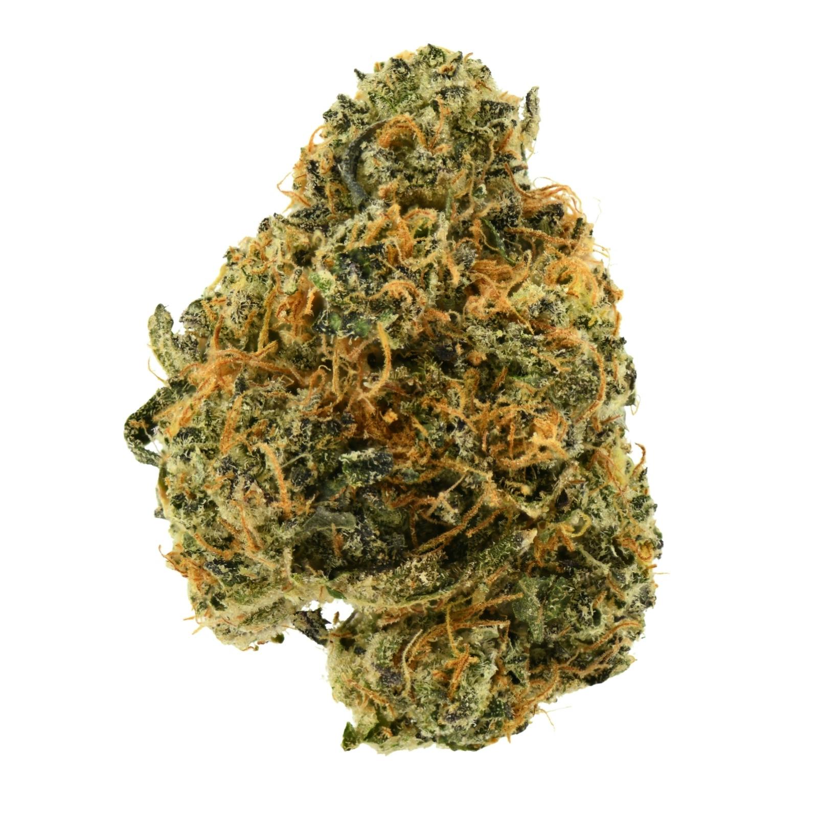 PJP Flower | Madelato