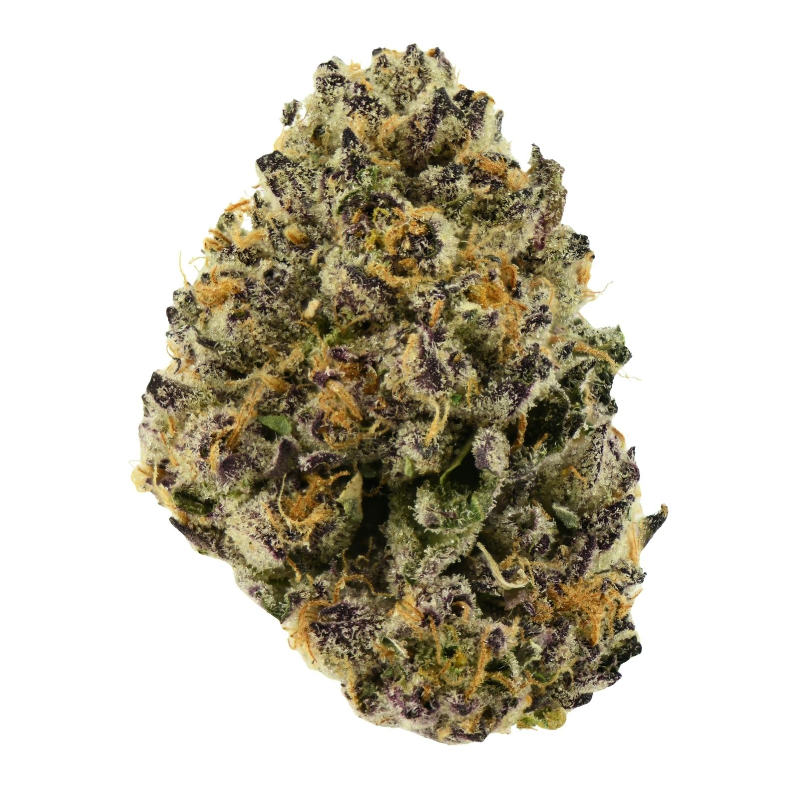 PJP Flower | Sugar Shack