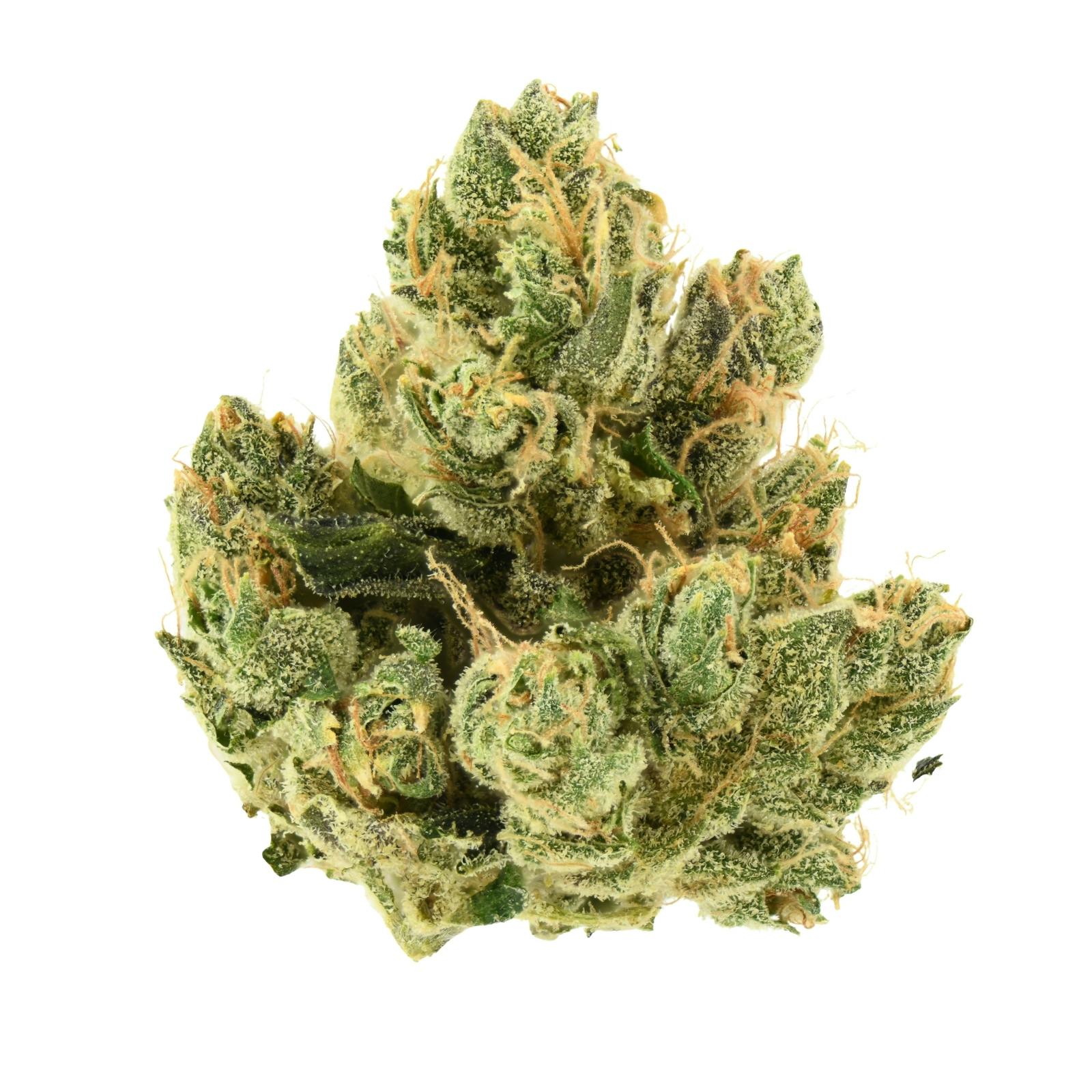Lost Dutchmen | Jet Fuel