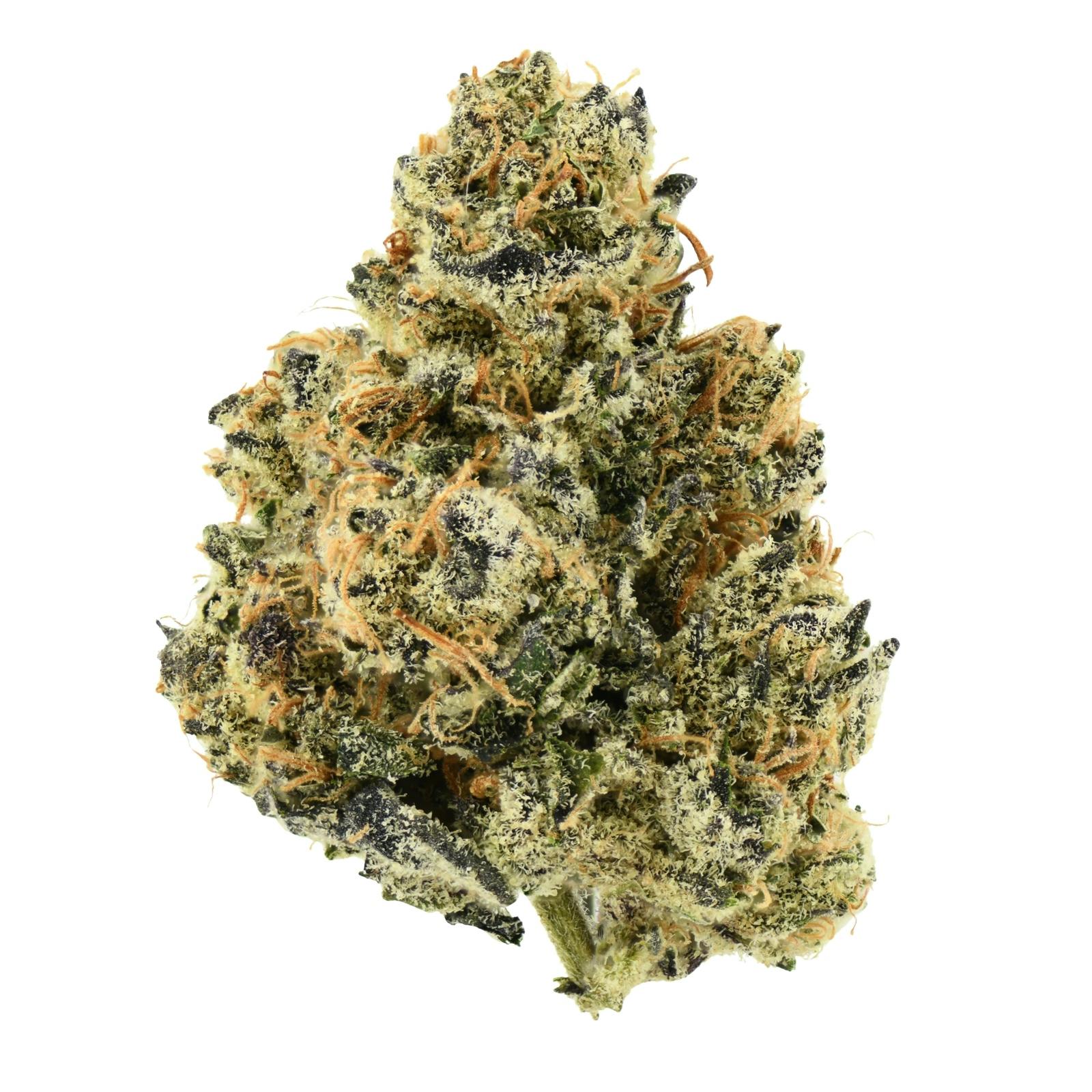 Lost Dutchmen | Cali Purple
