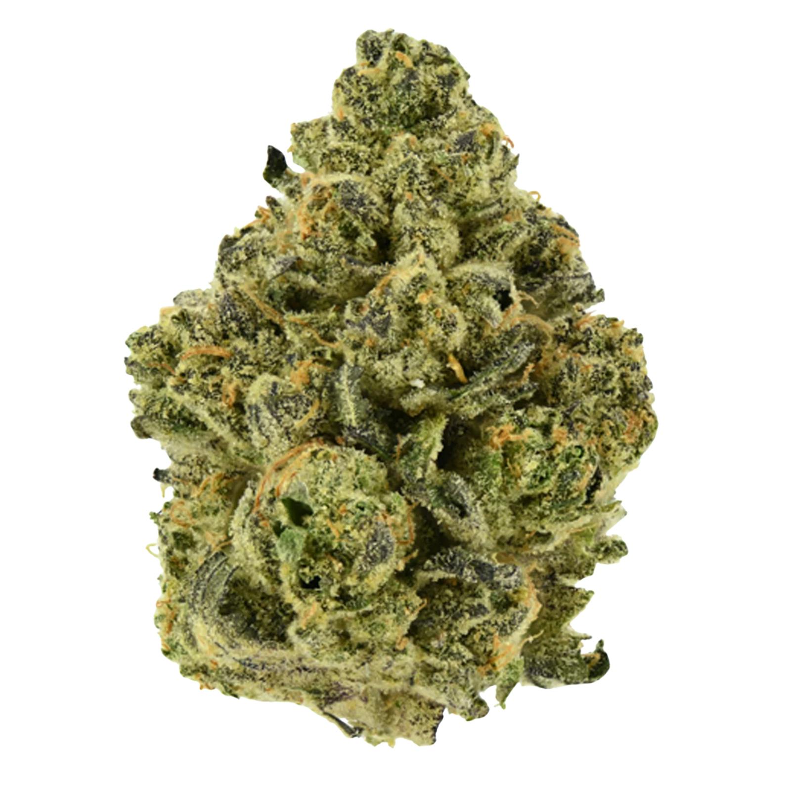 VARZ Flower | Gold Fronts