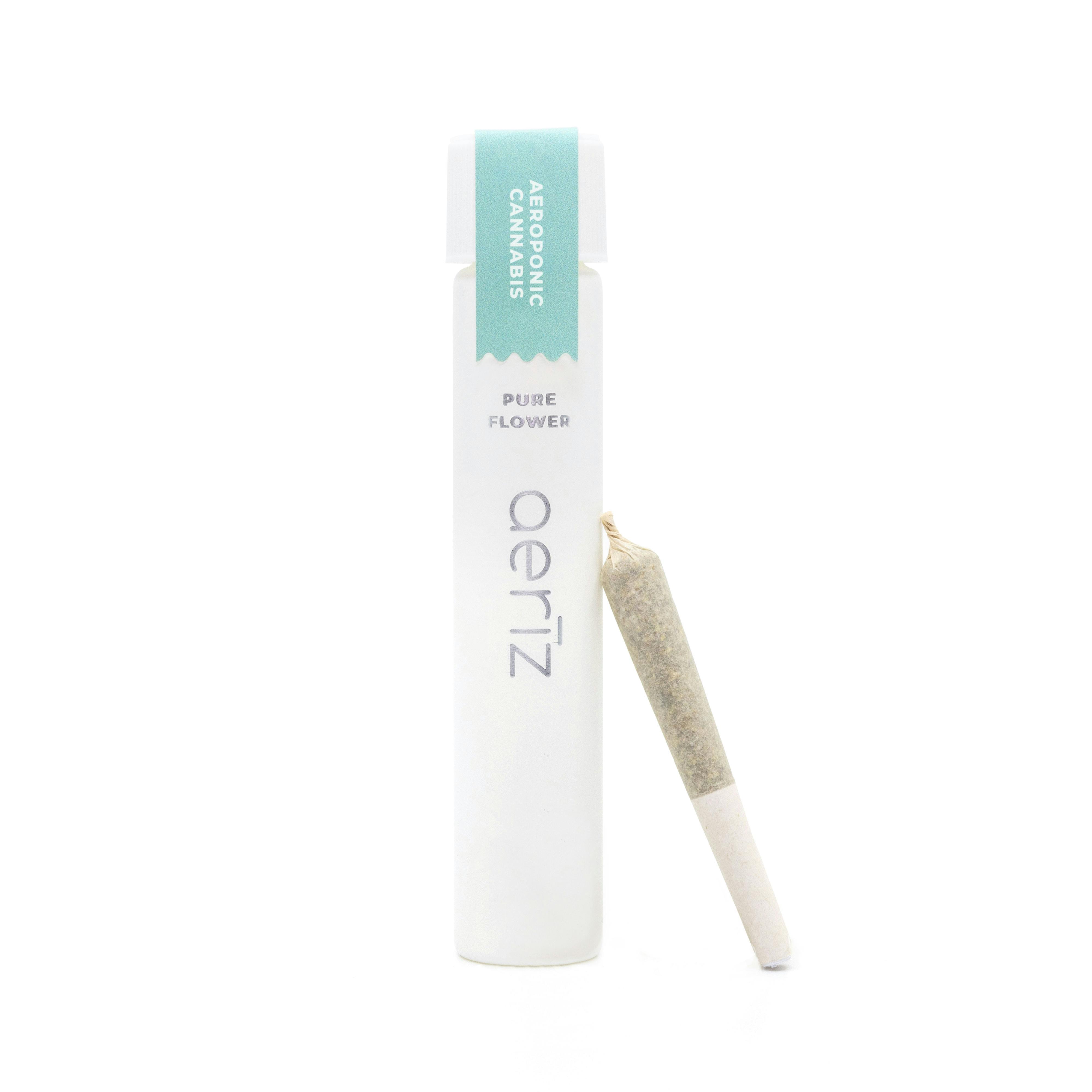 Cones - GMO - 1g