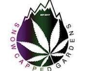 GMO - Live Rosin - Cold Cure