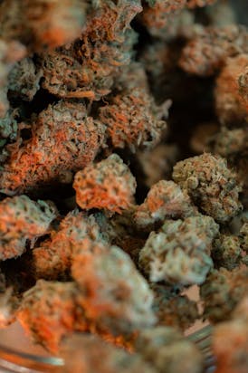 Agent Carter - Catalyst Cannabis Co.