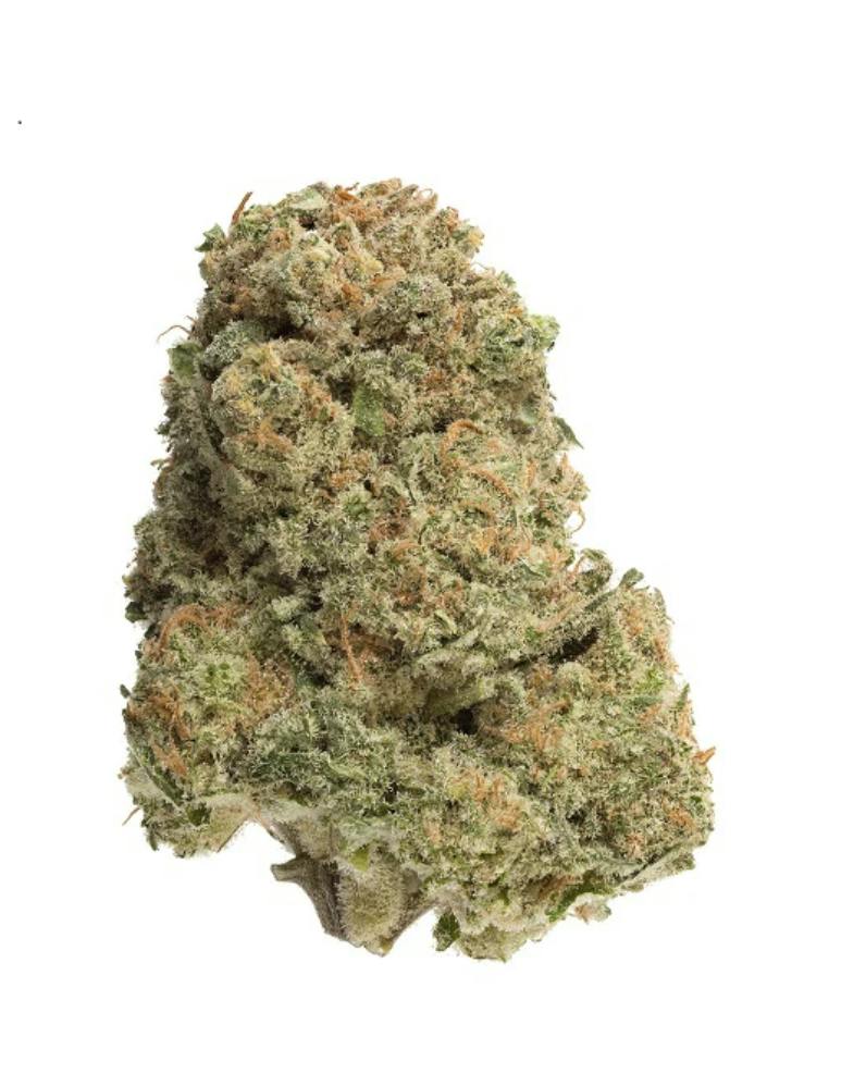 Bandwagon Indica 7g