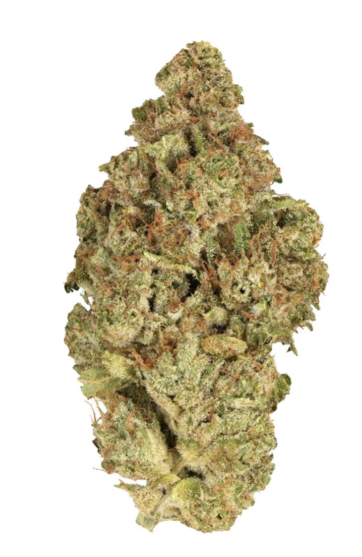 BC Organic Tea Time 3.5g