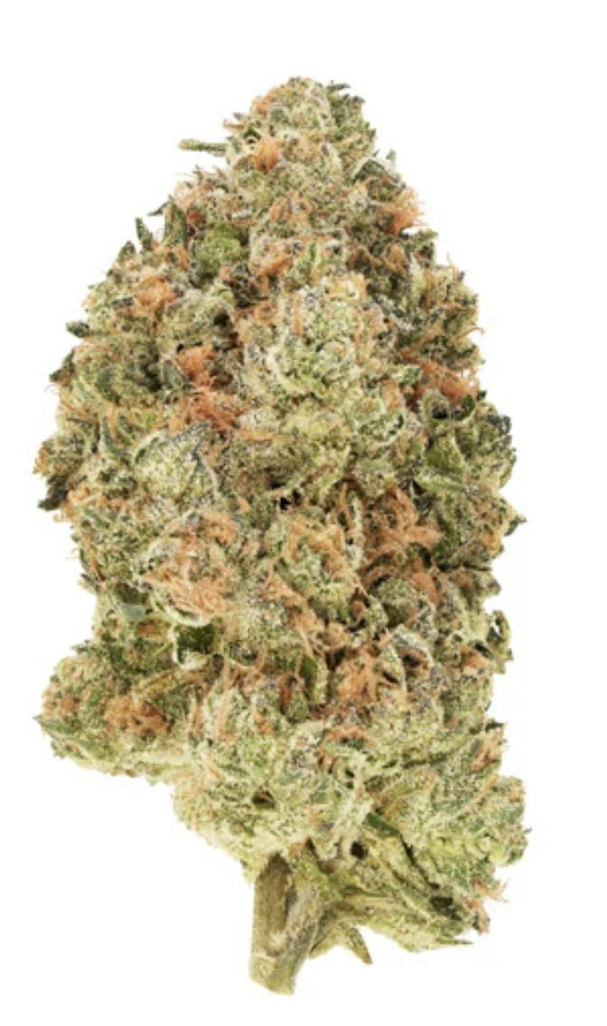 Organic Black Zoap 28g