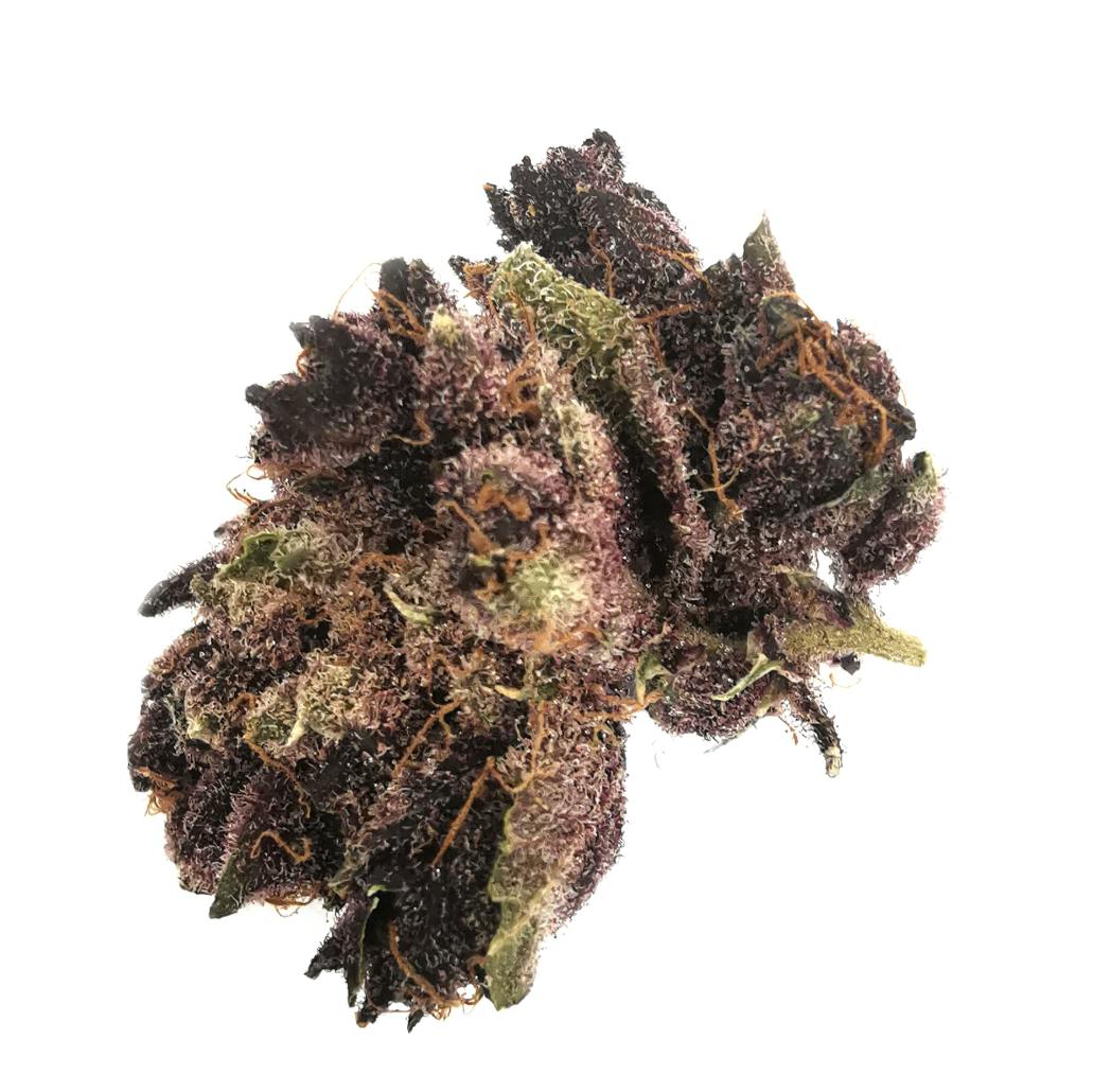 Tropical Cherry 7g