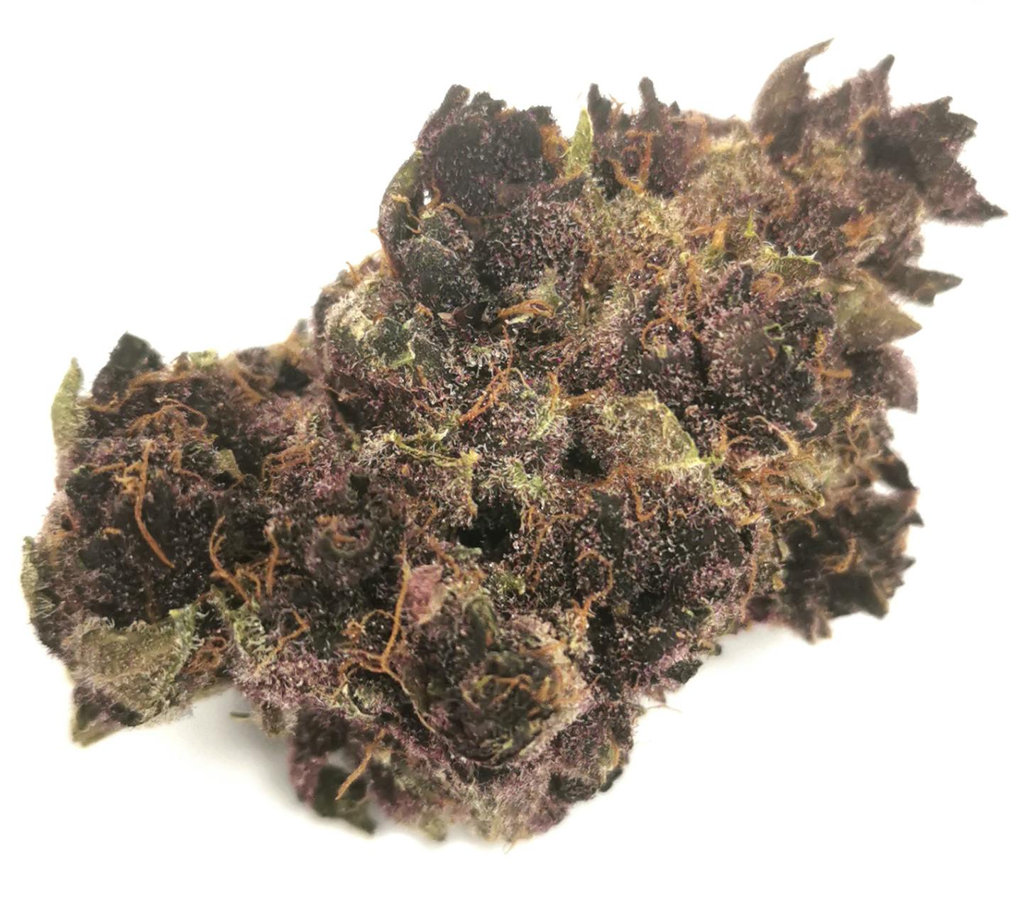 Tropical Cherry 14g