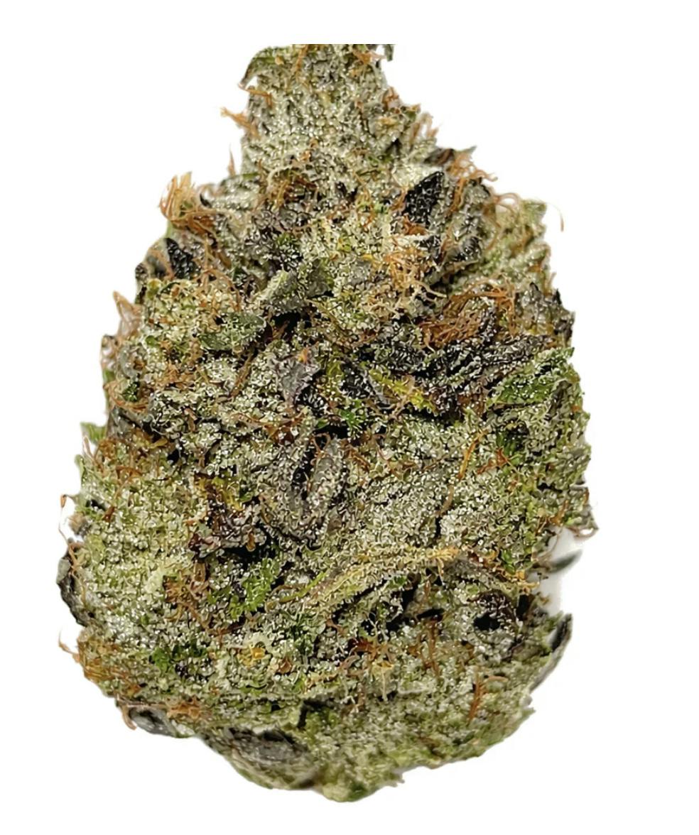 Timmy's OG Shark 3.5g