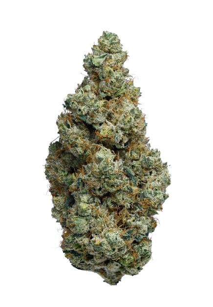 Organic Cake N Bake 3.5g
