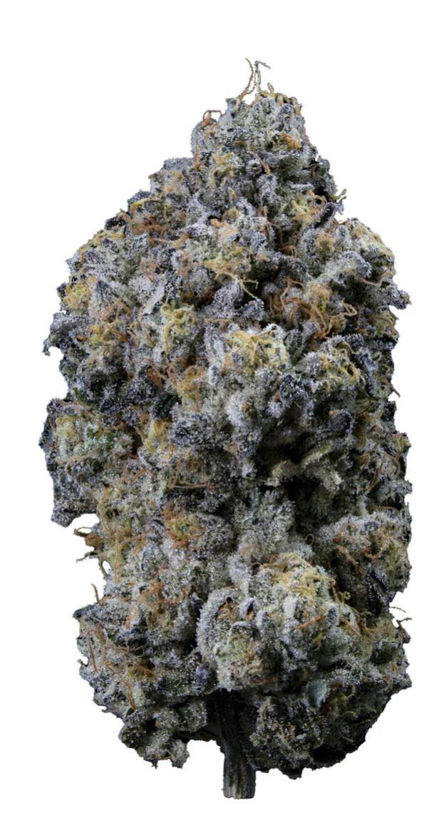 Organic Pine Mentz Petites 3.5g