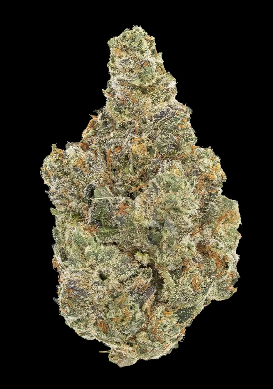 Bubblegum Sherb 14g