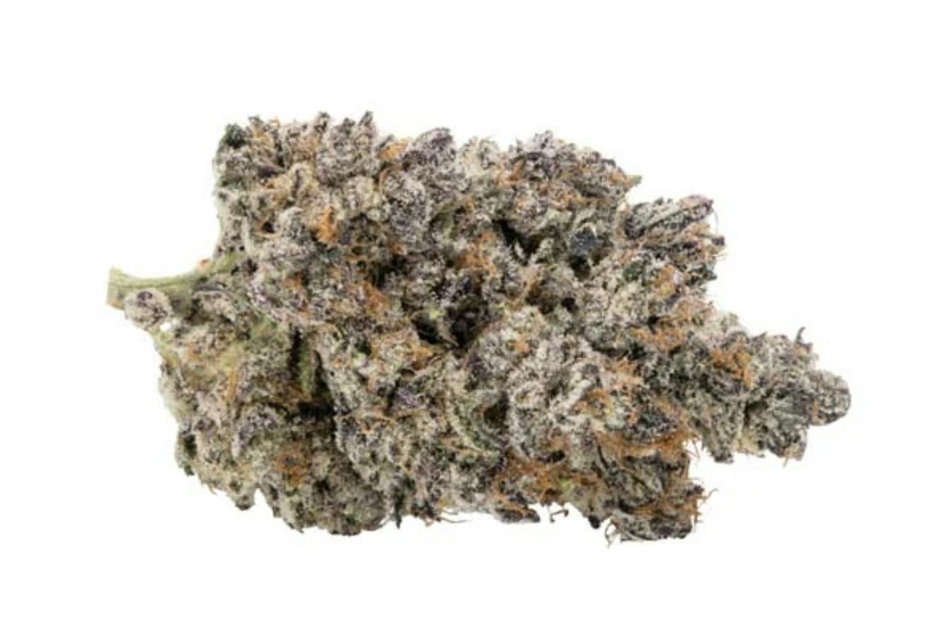 Dark Matter 14g