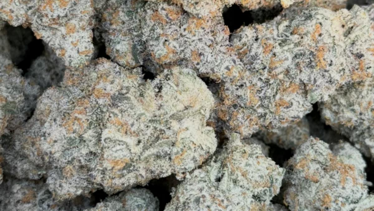 Gray Goose 14g