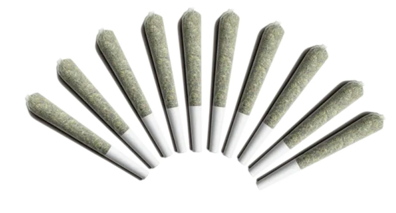 Orange Glazed Haze Pre-Rolls 10 x 0.5g