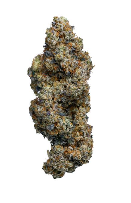 Organic Frosted Fruit Cake 3.5g