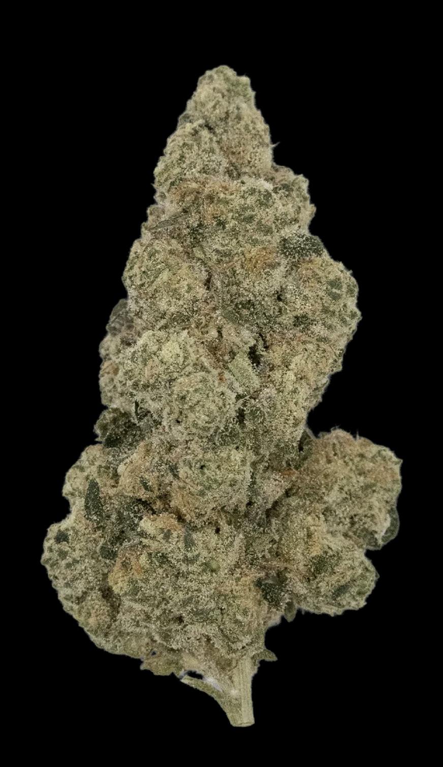 Gummie Bearz 28g